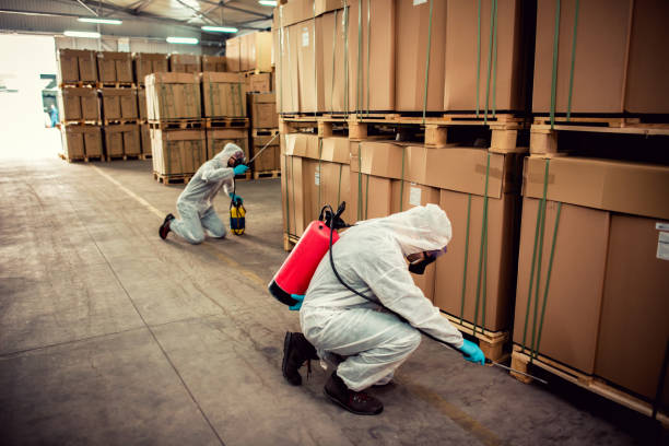 Best Ant Control Services  in Madras, OR