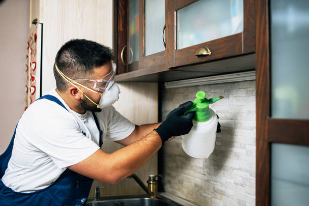 Reliable Madras, OR Pest Control Solutions