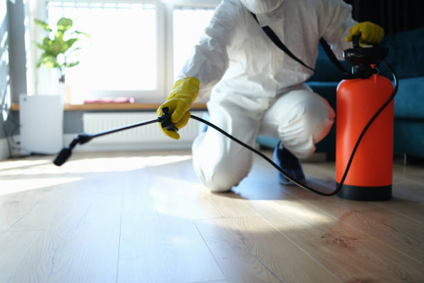 Best Pest Removal Services  in Madras, OR