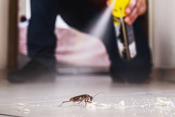 Best Flea Control Services  in Madras, OR