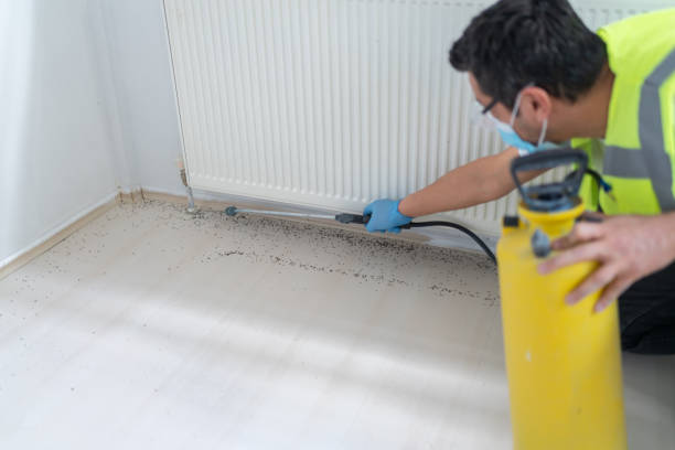 Best Wasp Removal Services  in Madras, OR