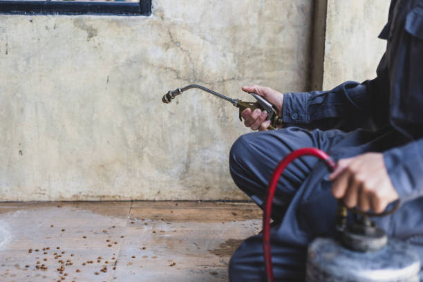 Best Mosquito Control Services  in Madras, OR